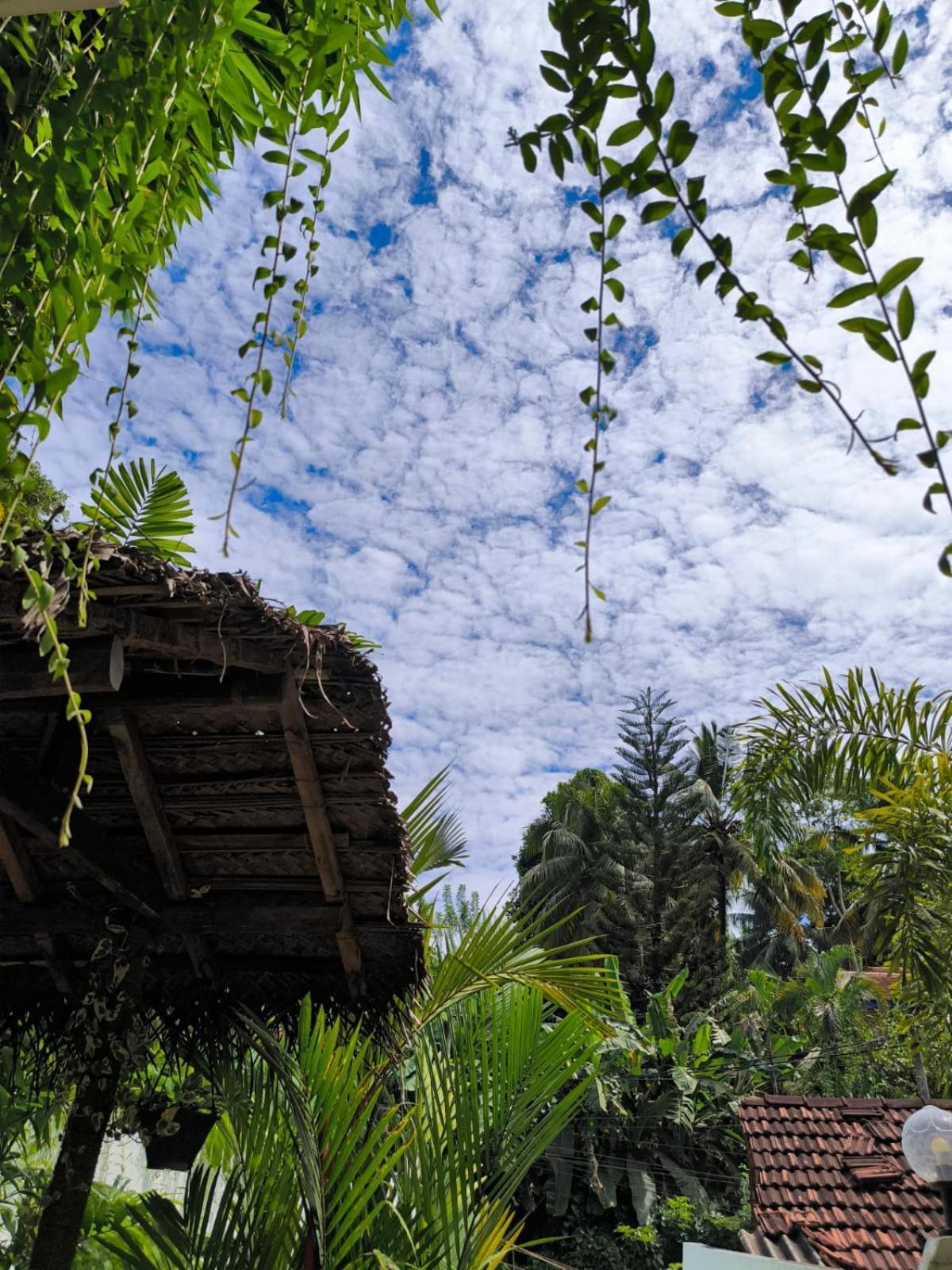 Hidden Villa Hikkaduwa Exterior foto